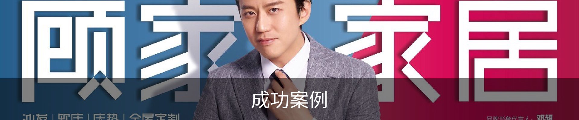成功案例